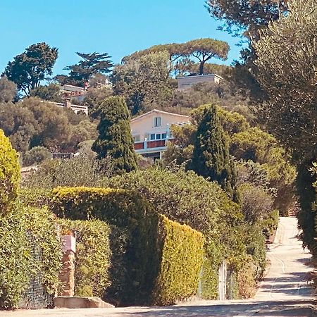 Les Oreades, Studio Le Marin Avec Vue Mer Imprenable Leilighet Île du Levant Eksteriør bilde